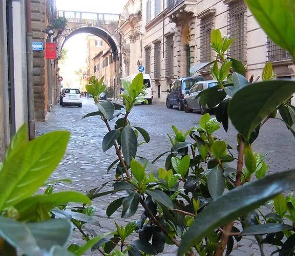 Apartment Via Giulia Rome